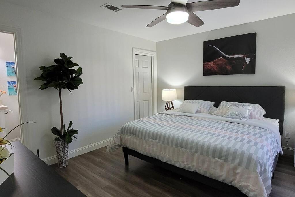 L - Fully Remodeled And Professionally Decorated Las Vegas Eksteriør bilde